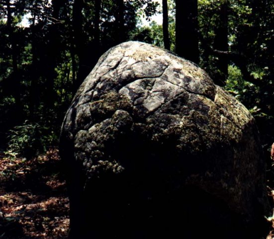 TurtleRockFortressII