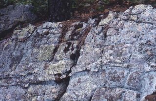 Wall-FortressII