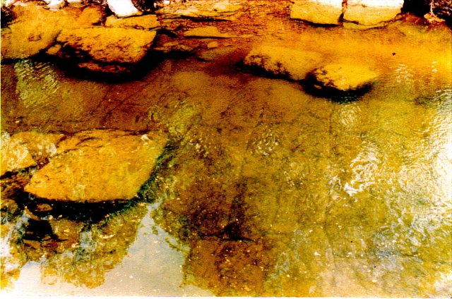 denfloor