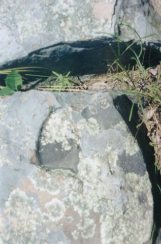 footprintsofthegods