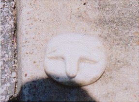 AN OWL HEAD OCCURRENCE IN GRAYSON CREEK