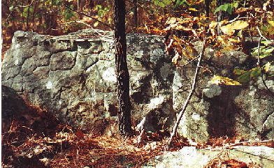 WallinwoodsJohnLindsey