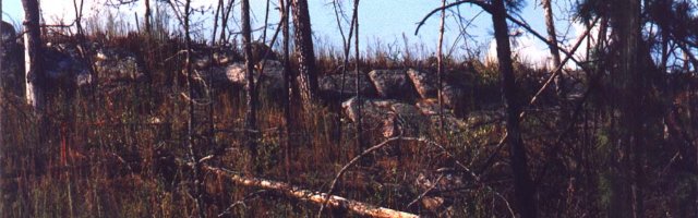 Photo 32