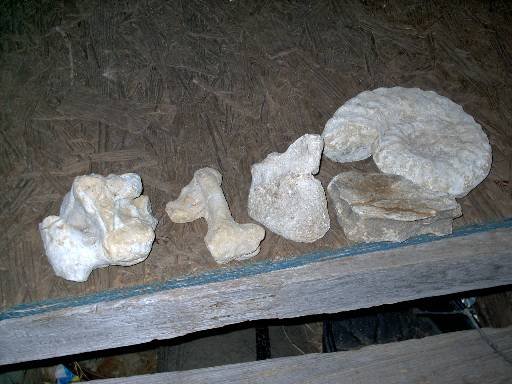 Photo 42