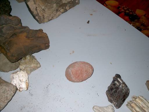 Photo 48