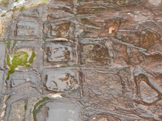 Deja Viewzone!!!