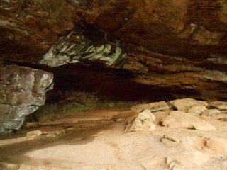 Glowing formation on roof of Rock House Cave