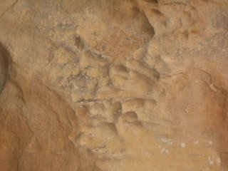 Closer view of previous feature