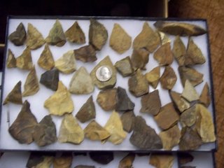 Triangular blade points