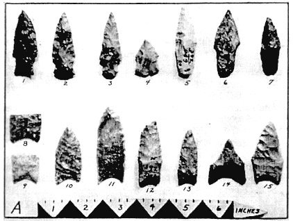 Lavon Paleoindian Points