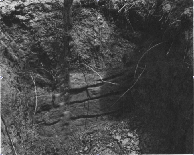 Rockwall, Brooks Ellwood Excavation 1989