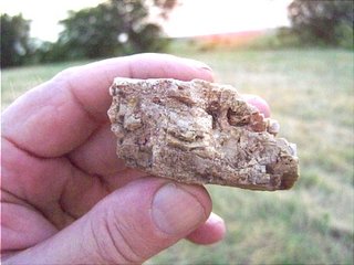 arbucklerock