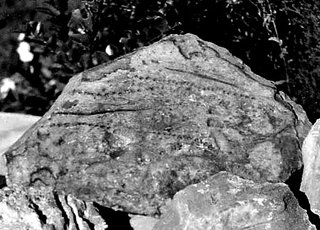 Rock Shelter Pictographs, Brewster County Texas