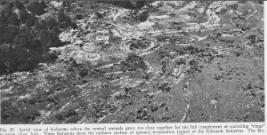 Bioherms Bosque County Texas organic in origin- Baylor Geology Studies
