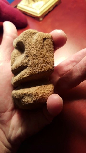 Profile View