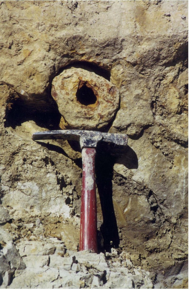 Iron Ring in place 2