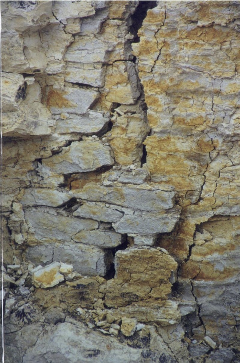 Sand Dike