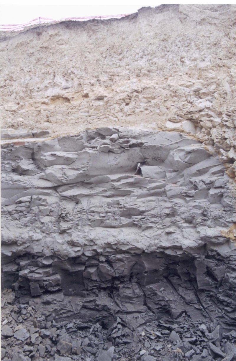Strata