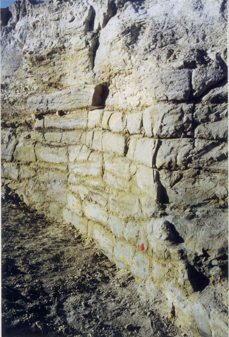 The wall photo 4