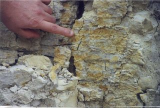 Calcite Dike