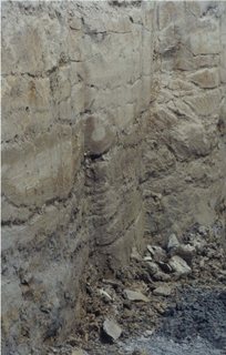 The wall photo 2