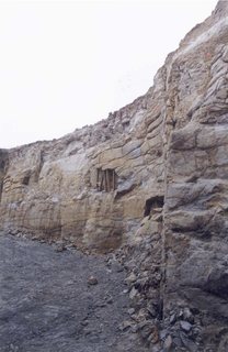 Vertical Wall