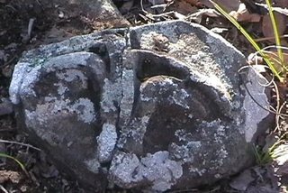 Markings 146