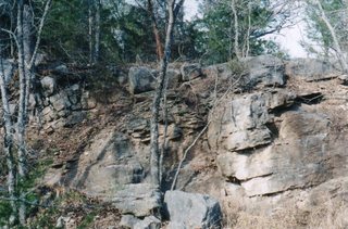 wallformation